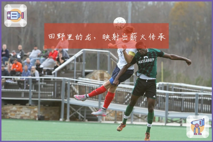 田野里的龙，映射出薪火传承