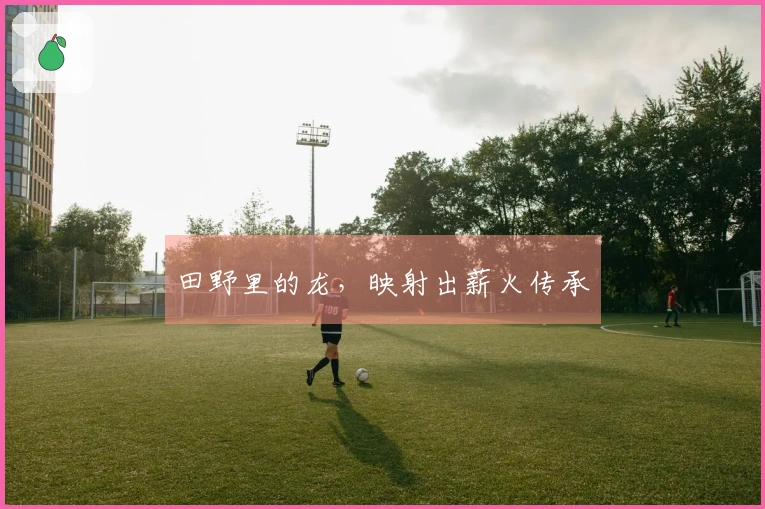 田野里的龙，映射出薪火传承